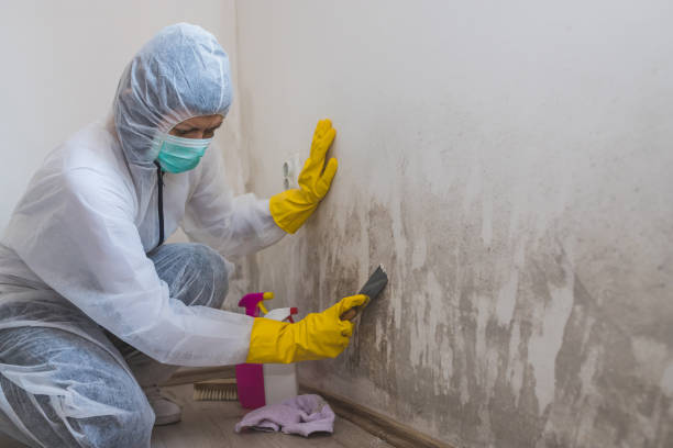 Best Residential Mold Inspection & Testing  in Mustang, OK