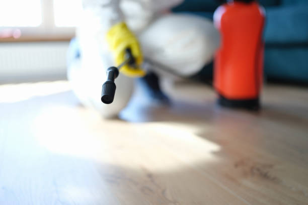 Best Comprehensive Air Testing for Mold Contaminants  in Mustang, OK