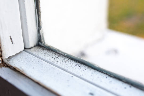 Best HVAC Mold Inspection and Cleaning  in Mustang, OK