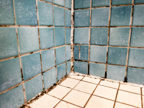 Mold Remediation for Rental Properties in Mustang, OK