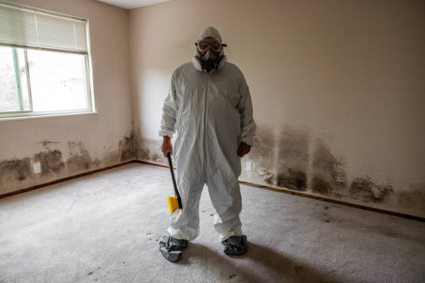 Best Post-Remediation Verification Testing  in Mustang, OK